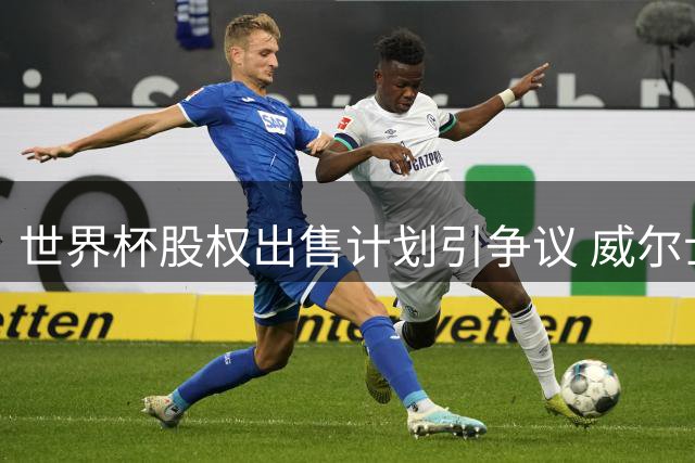 世界杯股权出售计划引争议 威尔士与亚足联表态未获征询