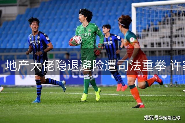 地产大佬隐退避险遭司法重拳 许家印案揭开行业潜规则面纱