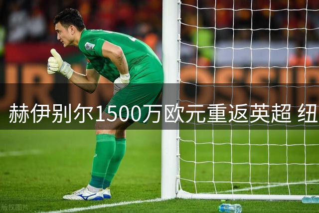 赫伊别尔1500万欧元重返英超 纽卡斯尔锁定中场强援