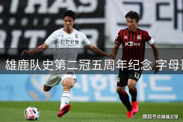 雄鹿队史第二冠五周年纪念 字母哥50分神迹仍历历在目